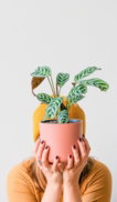 a woman holding a potted plant
