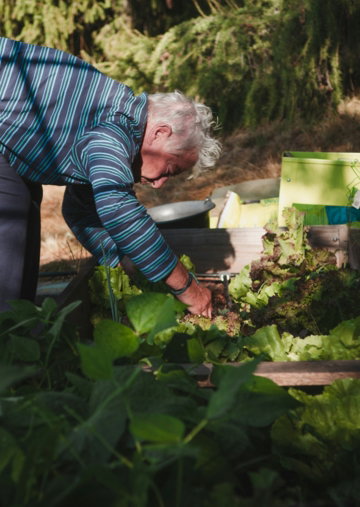 an older man is tending to a garden