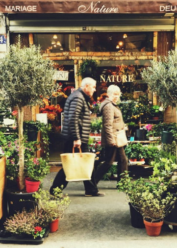 man and woman walking between plants