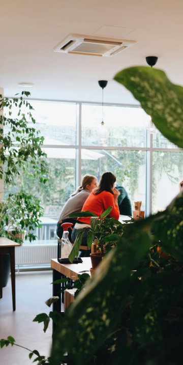 a-group-of-people-sitting-at-a-table-in-a-room-with-plants.jpg a group of people sitting at a table in a room with plants