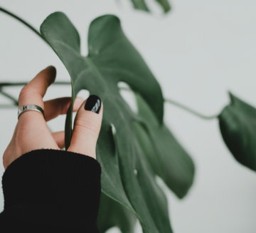 a-woman-s-hand-holding-onto-a-green-plant.jpg a woman's hand holding onto a green plant