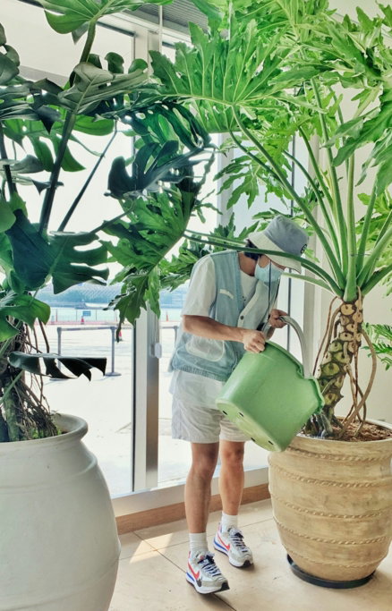 a-woman-watering-a-potted-plant-in-a-room.jpg a woman watering a potted plant in a room
