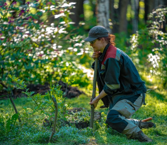 A gardener kneels while planting in a sunlit garden.