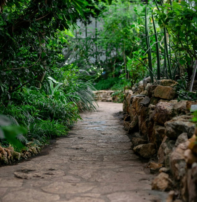 empty pathway during daytime