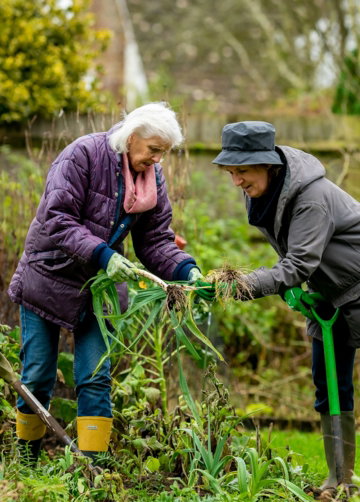 two older women are gardening in a garden