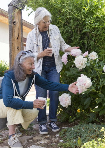 Two women admire pink flowers in a garden