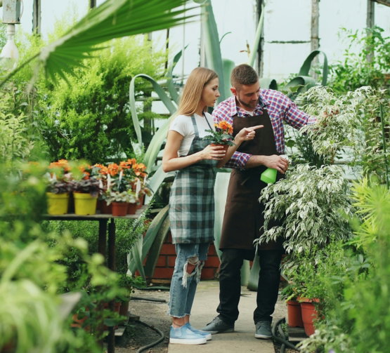 Two people working in a lush greenhouse with plants