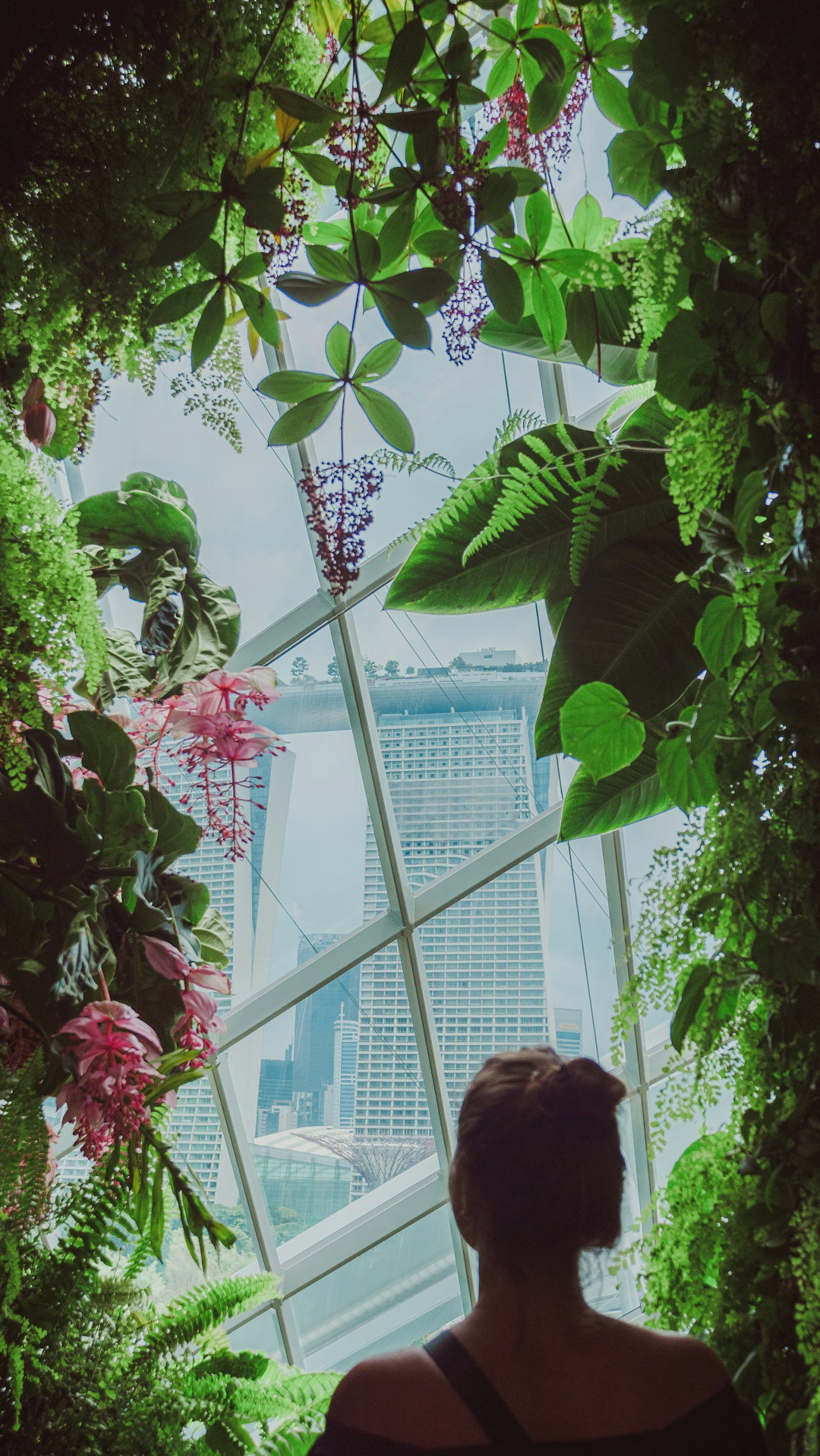 A woman admiring a view amidst lush greenery